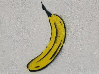 Aufgefallen: Singlebörse für Bananen und andere Ideen