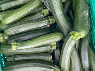 Marseille: 2400 Tonnen Lebensmittel gespendet statt entsorgt