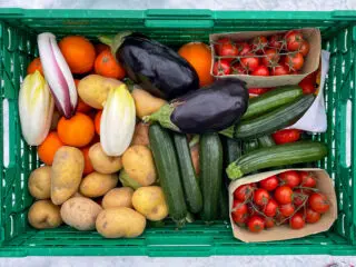 Lebensmittel entsorgen ist wirtschaftlicher, als sie zu spenden