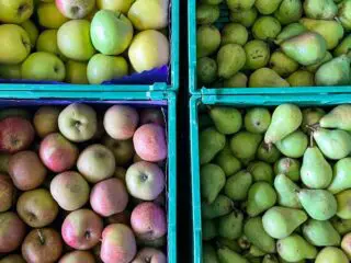 Pilot Lebensmittelabgabe 2.0 in Arbon: Medienecho