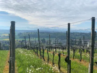 #lienuvaplus: 320 Kilometer und ein Spendenstand